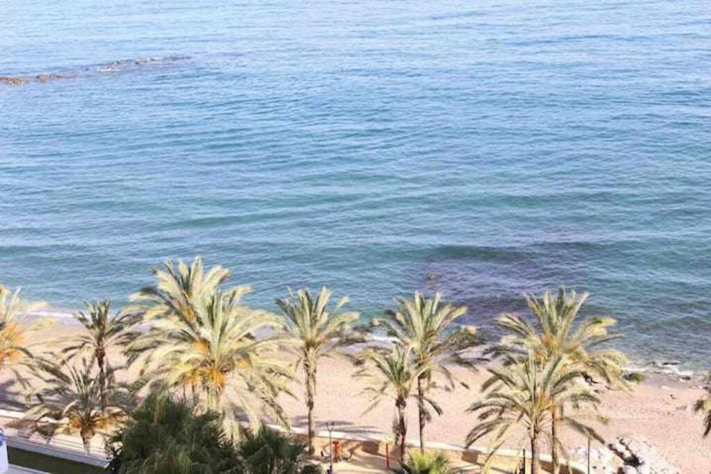 Large Modern Beach Front Apartment, Rooftop Pool!! Marbella Exteriör bild